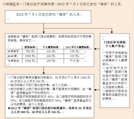 揭阳2024城乡居民医疗保险揭阳市居民医保怎样交