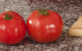 晚间西红柿减肥法(晚上吃番茄可以减肥吗)