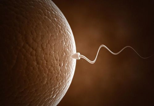 正在备孕的男性,精液是黄色正常吗 关于精液小知识,不要忽视