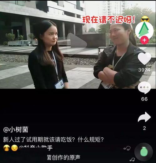 新手怎么做抖音号 免费公开四个秘诀技巧 视频 