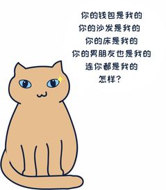 男朋友的滋味,猫和你都想了解