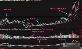 上市公司对外诉讼成功,次日股票走势怎样