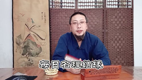 每日名理用选自诗词中的岑字给宝宝起名字孩子性格沉稳坚毅有魄力 