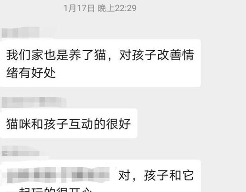 养猫咪 宠物 对抑郁症的孩子有帮助吗