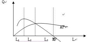 GP是什么？在经济学上的含义