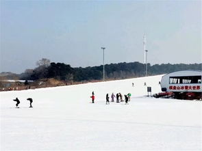 怪坡滑雪场1日游 包含往返车费和景区门票