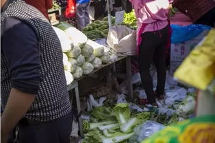 故事 时代变迁中的菜市场 