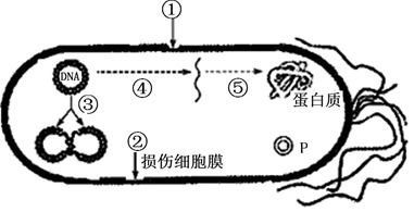 丹弗生物基润滑油的口碑好吗？