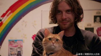 一只猫改变了一个人的人生,电影 流浪猫鲍勃 让你知道猫孩子的可爱 