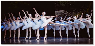 芭蕾是一种超然的美,是时间和空间的艺术