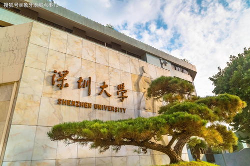 深圳大学小深圳大学小自考,2023年深圳大学小自考怎么报名有哪些专业要求，2023年深圳大学小自考怎么报名有哪些专业？