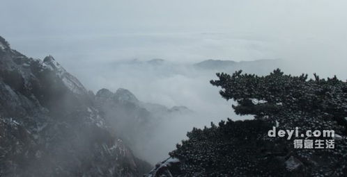 关于保俶山雪景的诗句