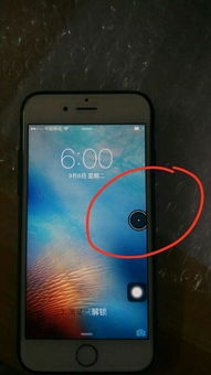 iPhone6s手机屏幕出现一个黑圈.触屏不了是什么情况 我点击白色圆圈然后又点击了黑色圆圈 