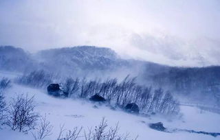 长白山冬季 雪原和林海中的旅行