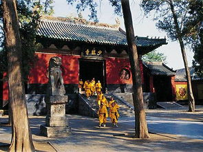 河南少林寺,少林寺一日游 少林寺一日游价格 多少钱