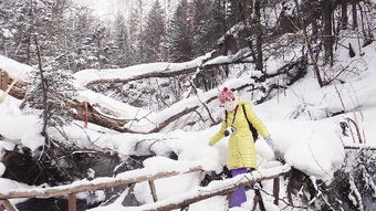 如何让冬季旅行更美好 冬季旅行注意事项 