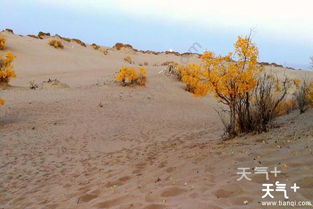 格尔木旅游景点推荐 去格尔木要注意些什么