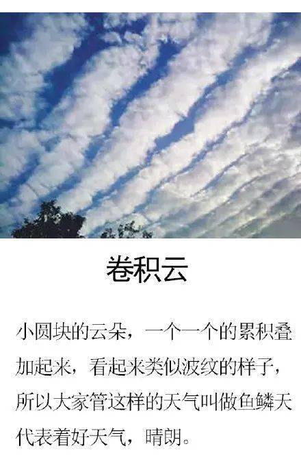 雨过天晴,七夕要 升温