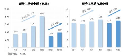 国泰安上股票上市证券数怎么找？