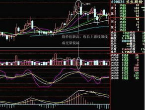 股票中M5 M10 M20 M30是什么？怎样看？手机可以看吗？