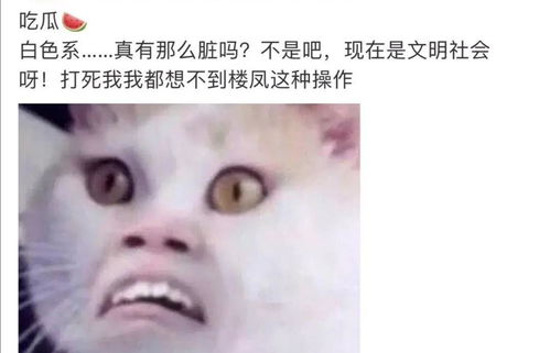 与十几个爱豆恋爱 原来是经纪公司牵制艺人的手段