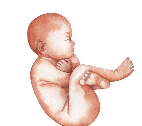 原创胎儿在妈妈肚子里有这个表现表明胎儿肺部发育好