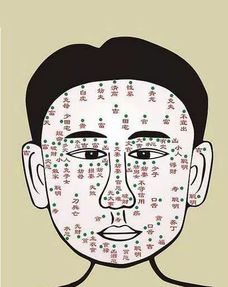 男人鼻梁和鼻尖有痣暗示着什么含义 鼻子这5个地方长痣的男人靠不靠谱 