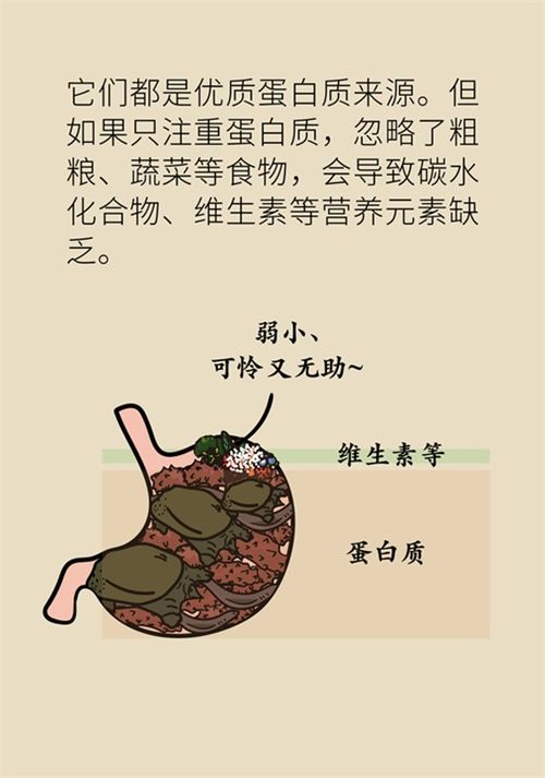 靠不吃 饿死 癌细胞 癌症患者补品食用指南来了