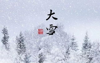 大雪覆盖大树的素材