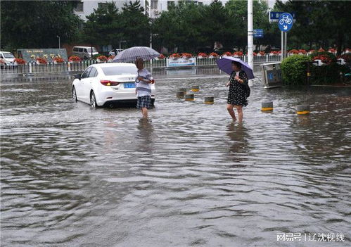 沈阳 小暑节气降暴雨,部分路段积水严重