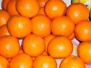 江西脐橙几月份上市,江西的橘子什么时间成熟？