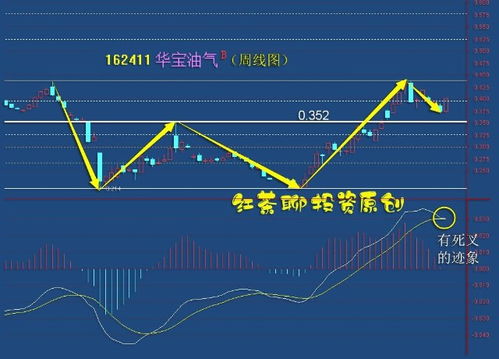 股市板块怎样看到