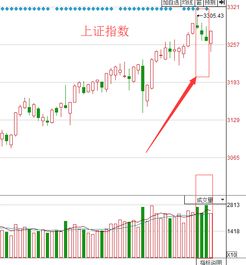 股市家电版块一般几月有一波行情？