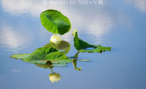 夏天的风伴奏(夏天的风)