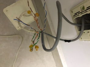 网线插座怎么接线