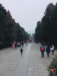 南京钟山风景区可以开车进去吗(包含南京钟山风景区免费停车场的词条)