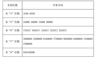 新规定，打新股中签怎么查中签号在那里可以查中签号？