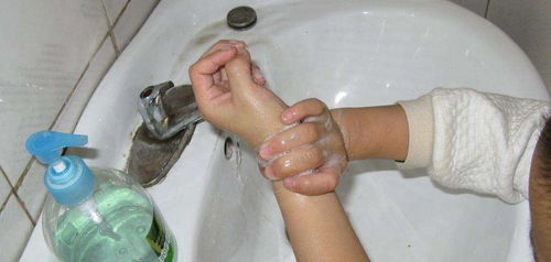 我手上没粘便便,为什么便后要洗手 2个理由让孩子抢着洗手