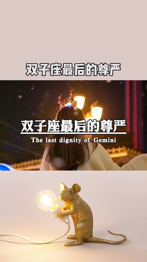 双子座最后的尊严 不争不抢不吵不闹 