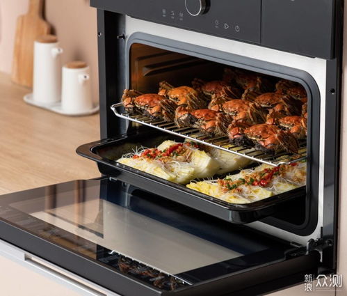 如何更好的用蒸烤箱做出美食 华帝I23011