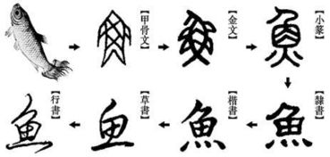 夜宿苏城高大上文体中心 汉字溯源 活字印刷 线装书 看 疯狂科学实验室 深夜玩转图书馆,感受苏城生活美学 3月23日 城市 