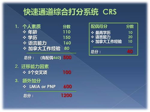 加勒比移民申请流程(移民日本需要什么条件和手续)