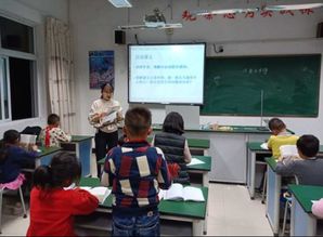 九龙乡校 开展新教师 新教育构建理想课堂精准教学研讨会