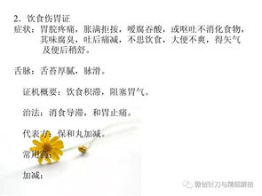 <h3>小六壬断病详解(小六壬病人法断怎样起)