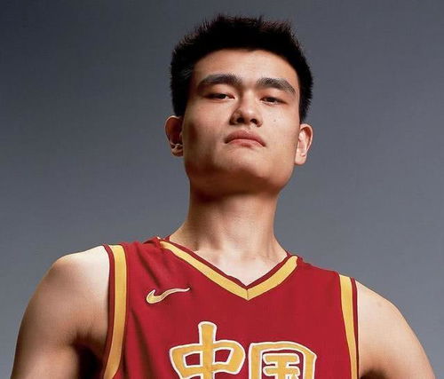 姚明篮球,以姚明为主角的篮球小说,比姚明高的篮球运动员