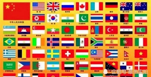 全球共有198面国旗,五彩斑斓,为何唯独没有一个国家使用紫色