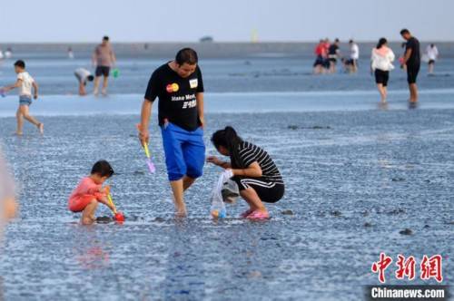 航拍江苏启东黄海滩涂 民众 赶海 过假期