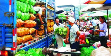 大理哪里有冻品批发市场和海鲜批发市场？