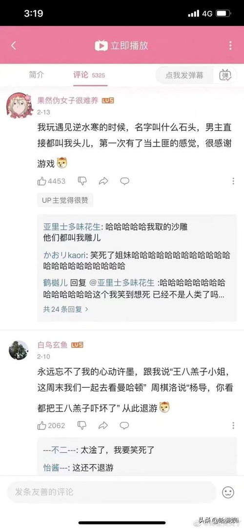 当你不小心取了个沙雕网名 哈哈哈点开之前没想到这么好笑