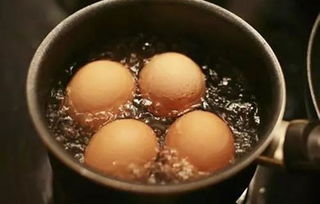 宝宝吃鸡蛋过敏的症状 宝宝吃鸡蛋要注意什么